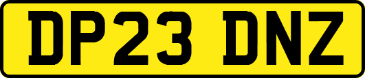 DP23DNZ