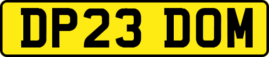 DP23DOM