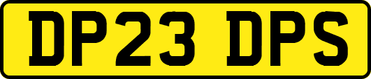 DP23DPS
