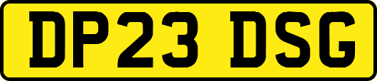 DP23DSG