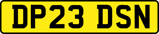 DP23DSN