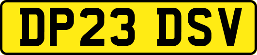 DP23DSV