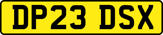 DP23DSX