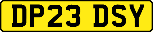 DP23DSY
