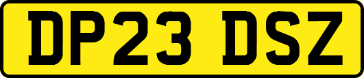 DP23DSZ