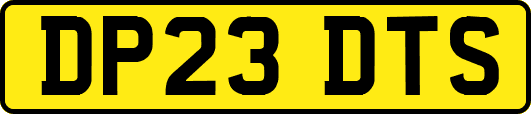 DP23DTS