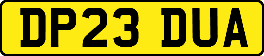 DP23DUA