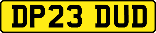 DP23DUD
