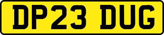 DP23DUG