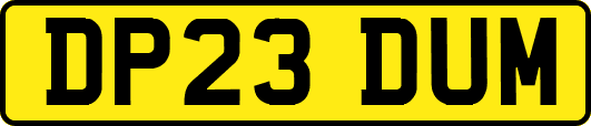 DP23DUM
