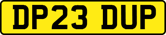 DP23DUP