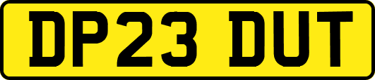 DP23DUT