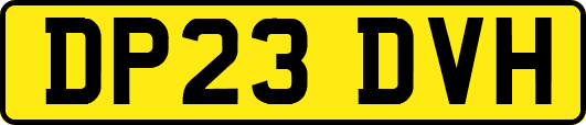 DP23DVH