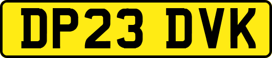 DP23DVK