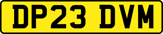 DP23DVM