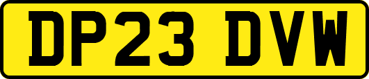 DP23DVW