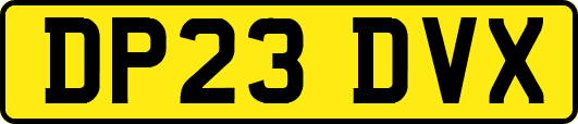DP23DVX