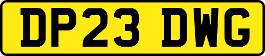 DP23DWG