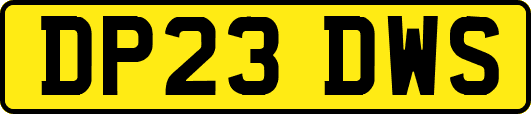 DP23DWS