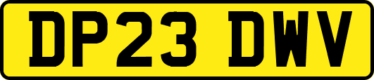 DP23DWV