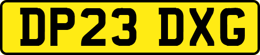 DP23DXG