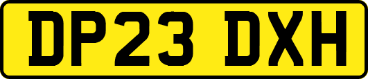 DP23DXH