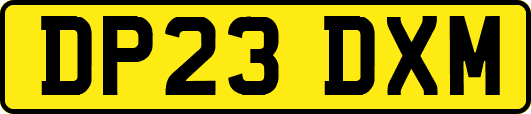DP23DXM