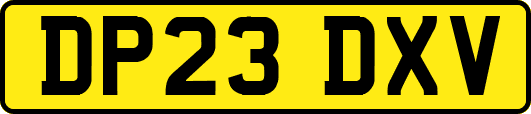 DP23DXV
