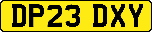 DP23DXY