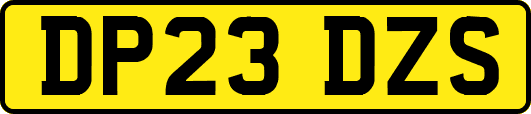 DP23DZS
