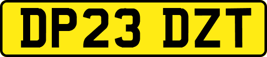 DP23DZT