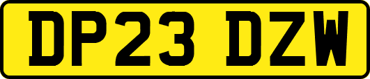 DP23DZW