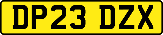 DP23DZX