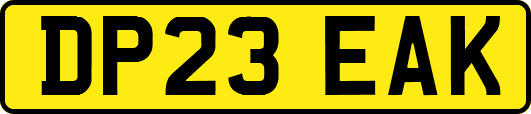DP23EAK