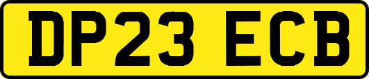 DP23ECB