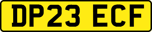 DP23ECF