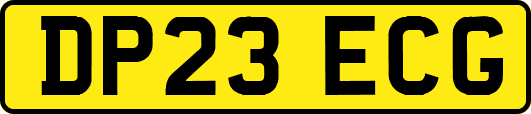 DP23ECG