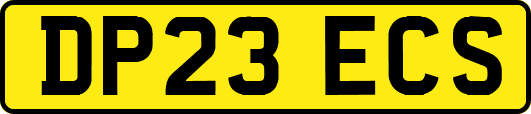 DP23ECS