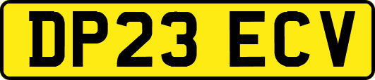 DP23ECV
