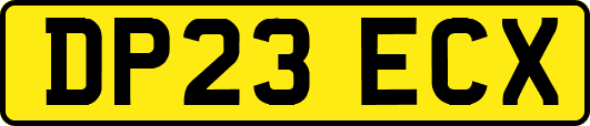 DP23ECX