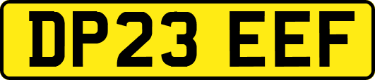 DP23EEF