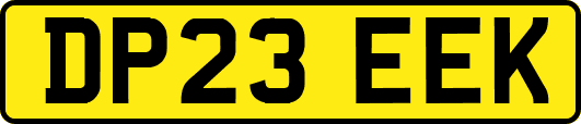 DP23EEK