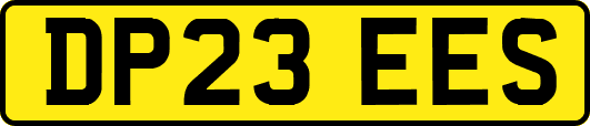 DP23EES