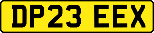 DP23EEX