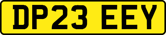 DP23EEY