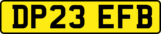 DP23EFB