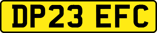 DP23EFC