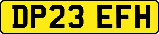 DP23EFH