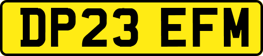 DP23EFM