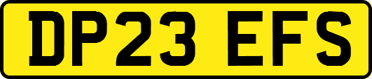 DP23EFS